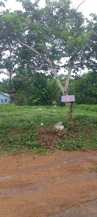 Terreno de esquina
