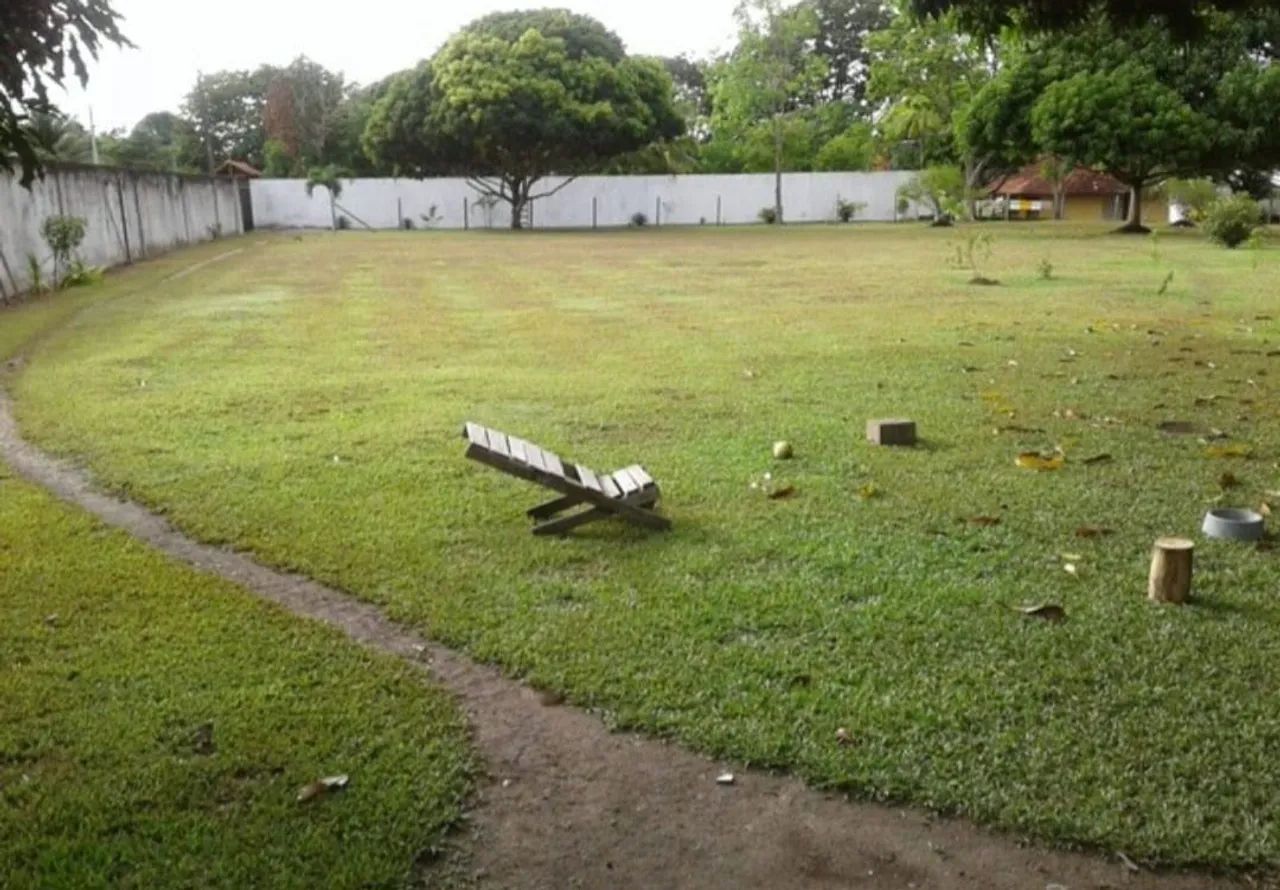 TERRENO EM PARINTINS-AM  - Foto 7