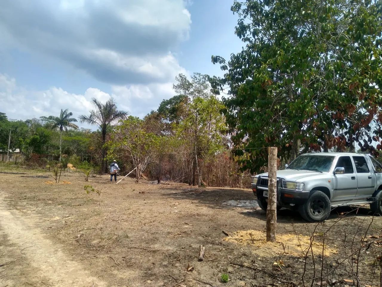 Alugo área de 6.000 M2 plantação  - Foto 4