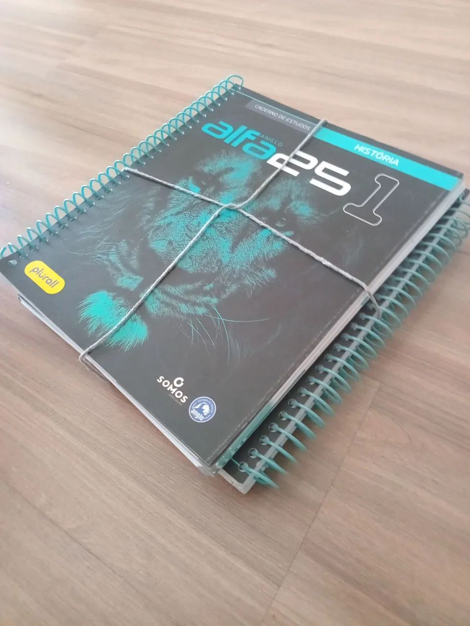 Apostilas Alfa 25 Anglo - Foto 3