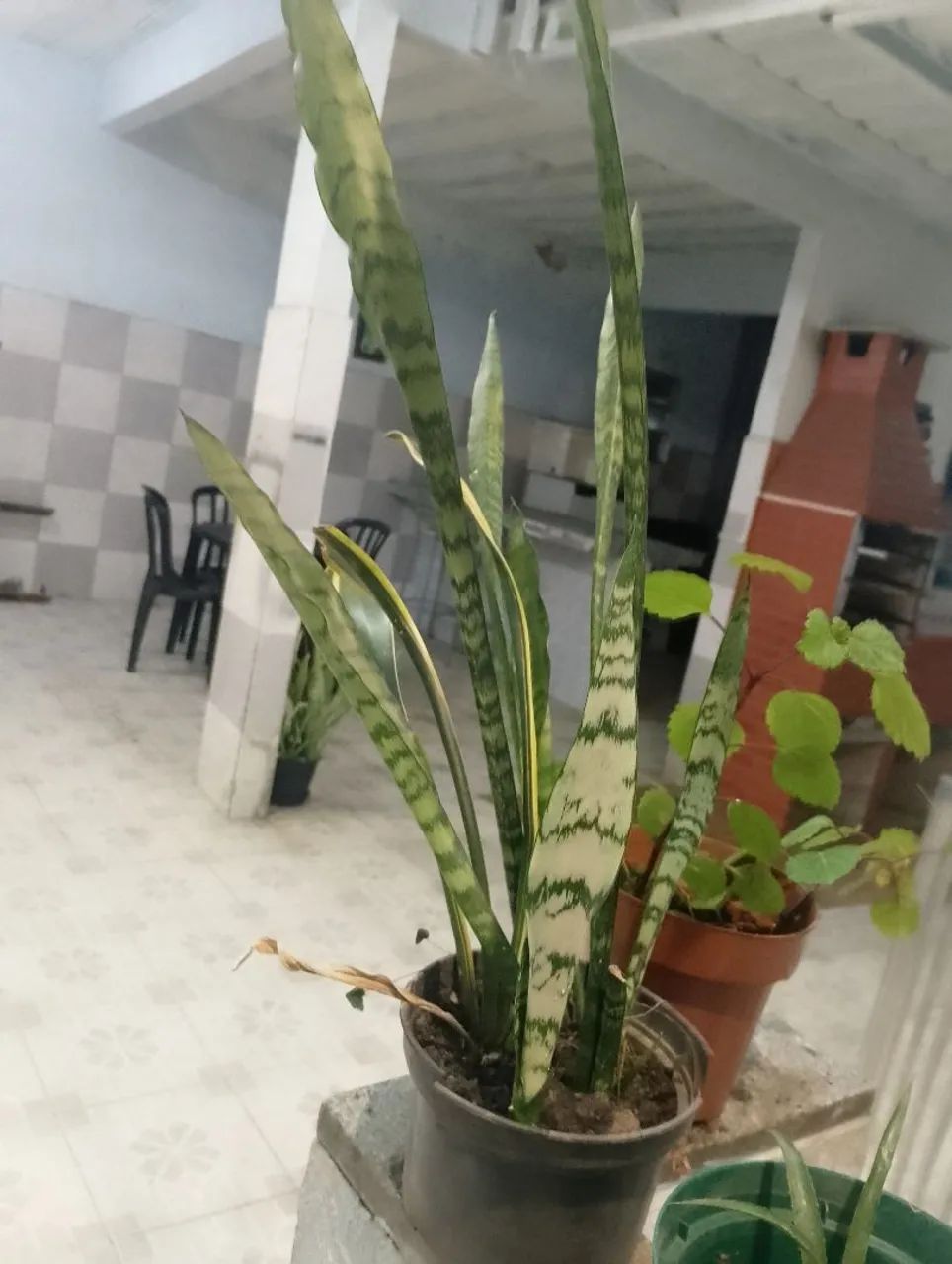 Espada São Jorge  - Foto 2