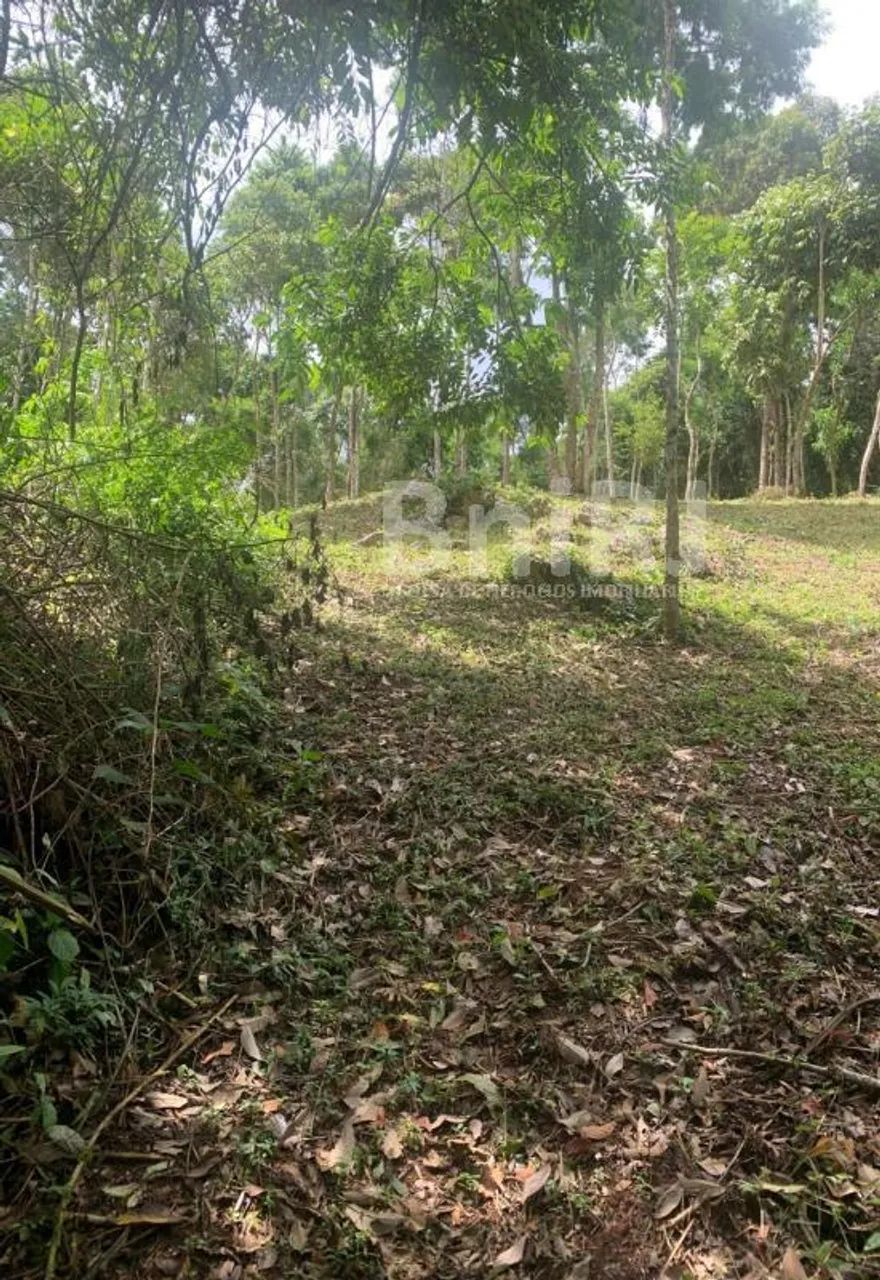 Araras, Petrópolis RJ. 11 lotes no Vale das Videiras. Rodeada por exuberante natureza, ide - Foto 7