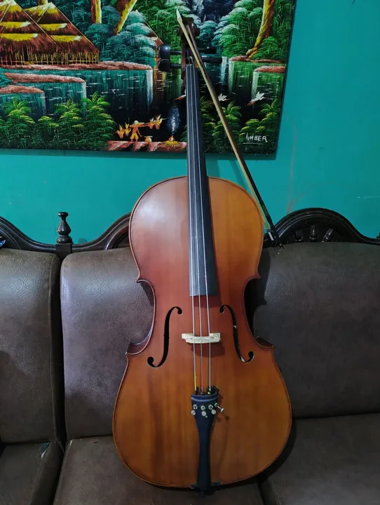 Violoncelo CE300 4/4 Eagle