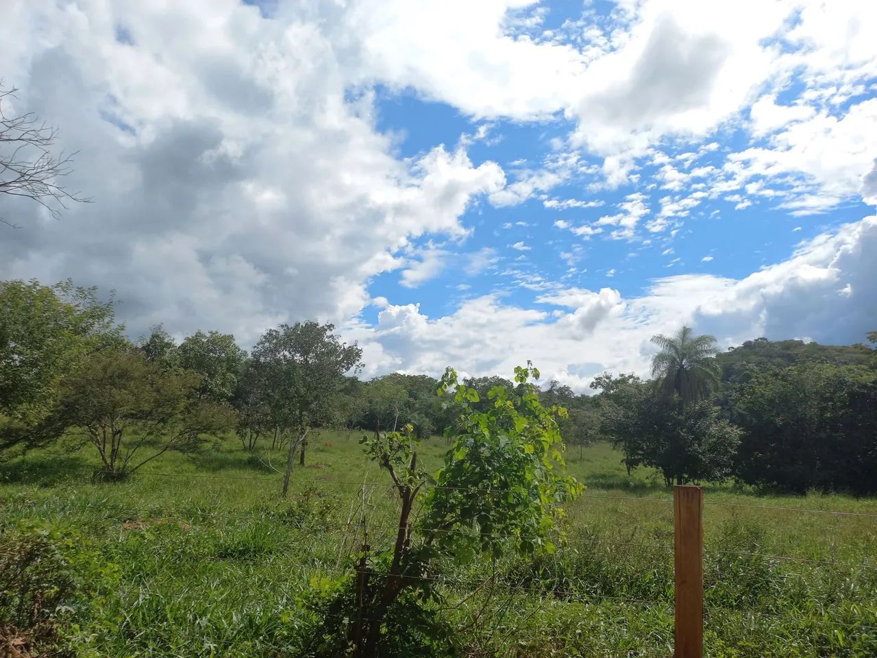 Terreno 40 hectares com córrego  - Foto 4