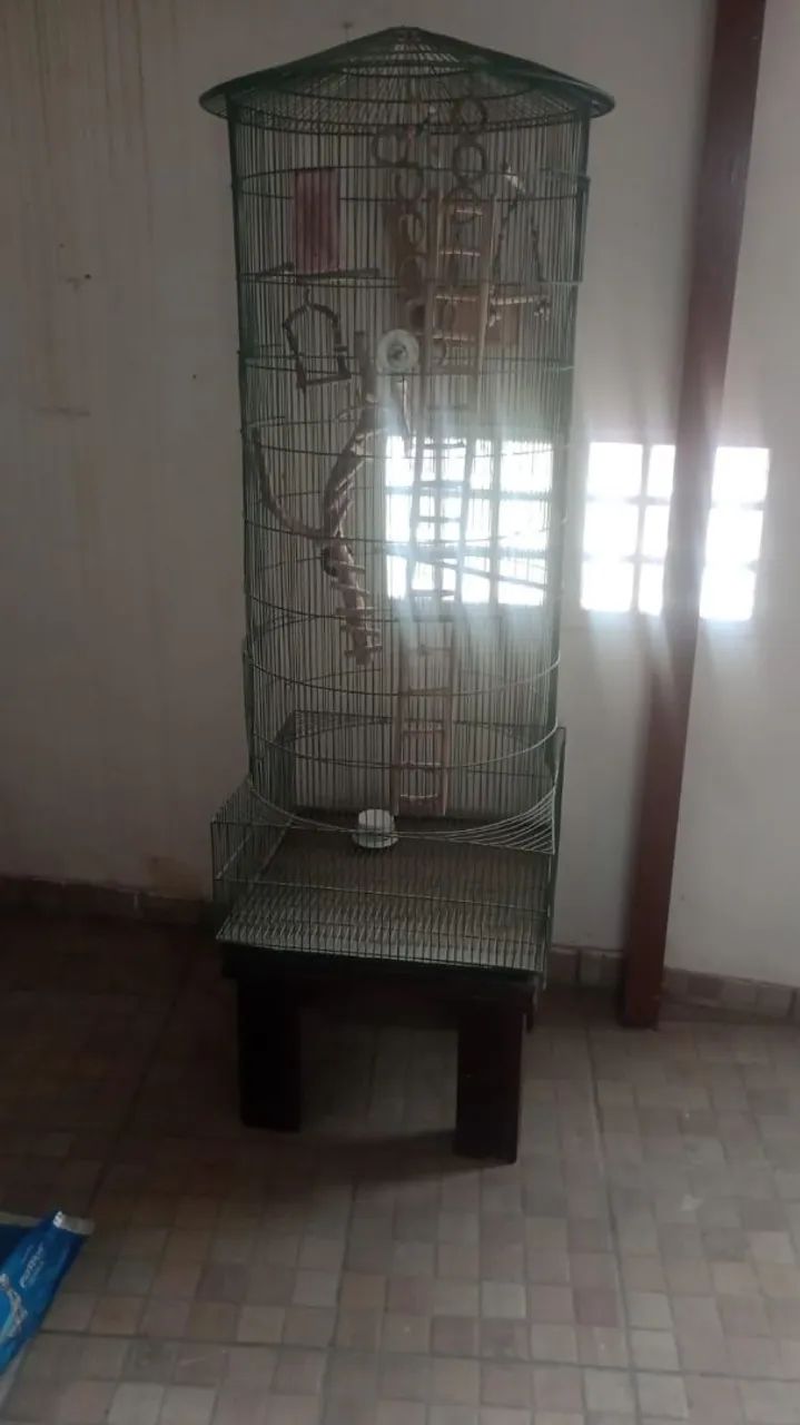 Venda64314061222275120