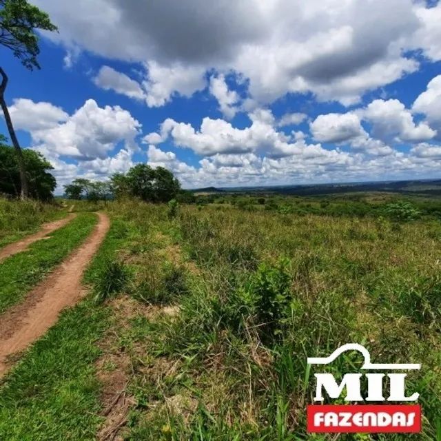 Fazenda 210 Alqueire (1016Ha) Alto Garças - MT - Foto 3