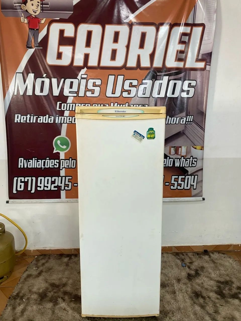 Frezzer Electrolux 210 litros (entrego) - Foto 5