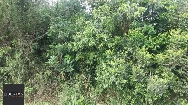 Terreno para Venda - 0m², 0 dormitórios, Restinga