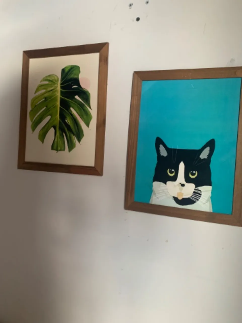 Dupla de quadros decorativos