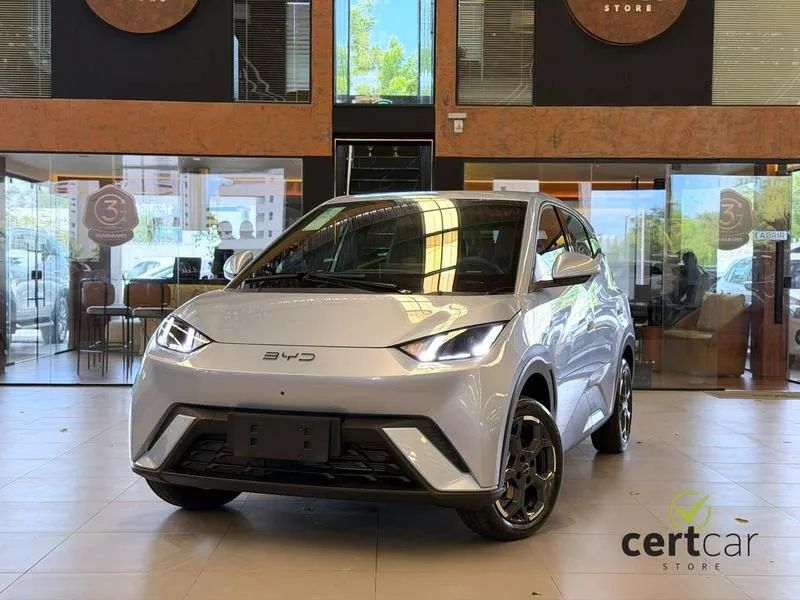 BYD Dolphin Mini (Elétrico) 2027