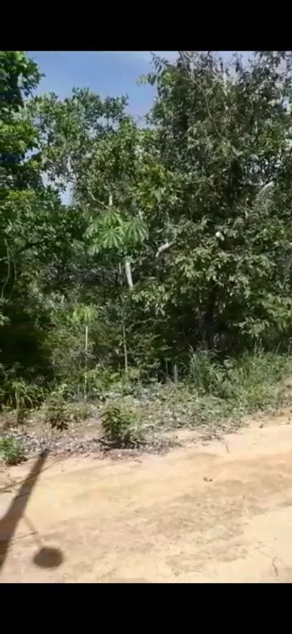 Foto - Anápolis - Privê Lírios do Campo