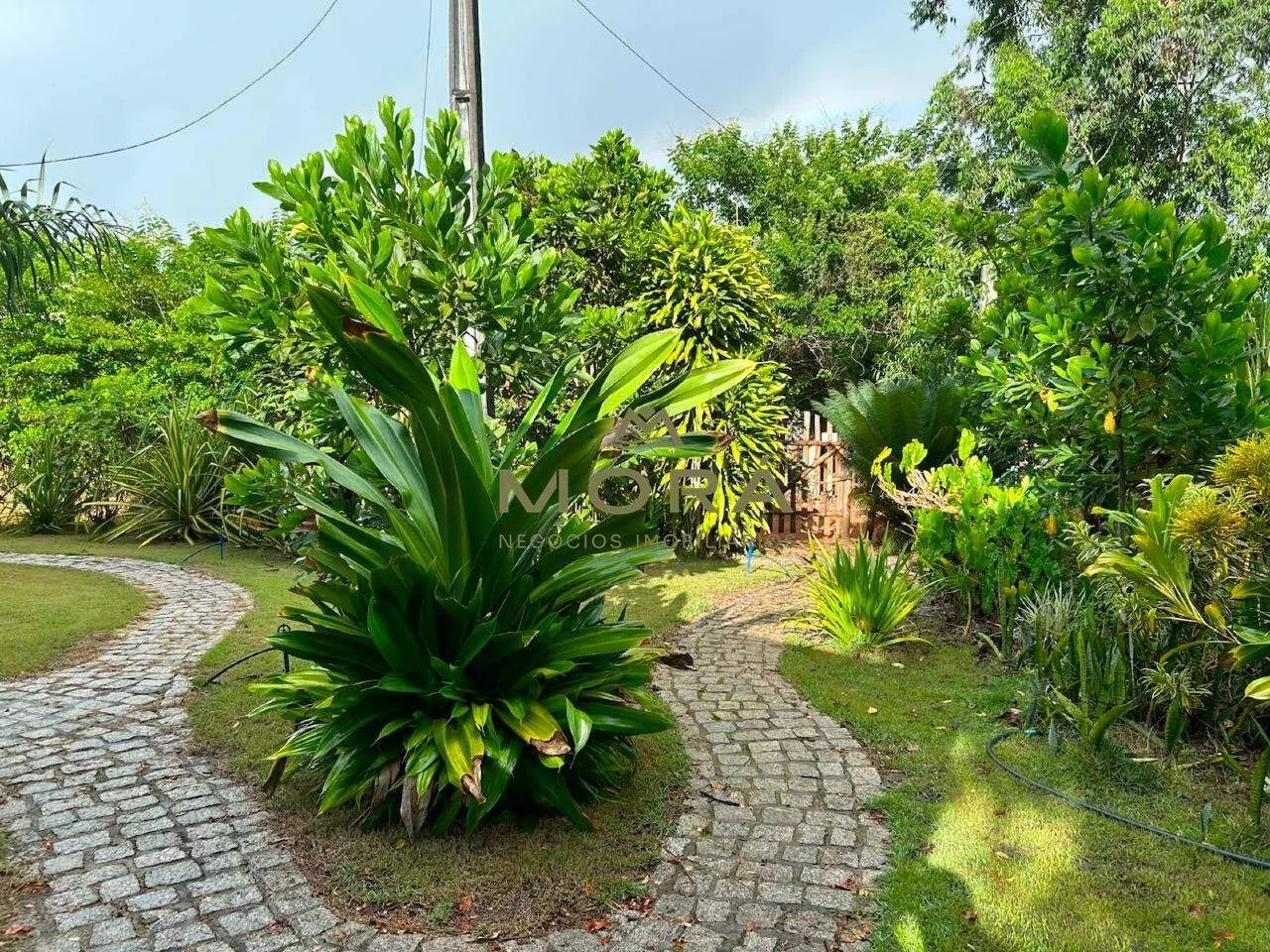 Chácara à venda em Una/BA (Centro)  50.000 m² - Foto 3