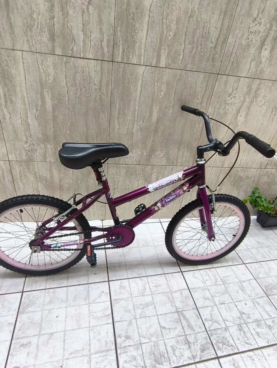 Bicicleta Infantil Aro 20