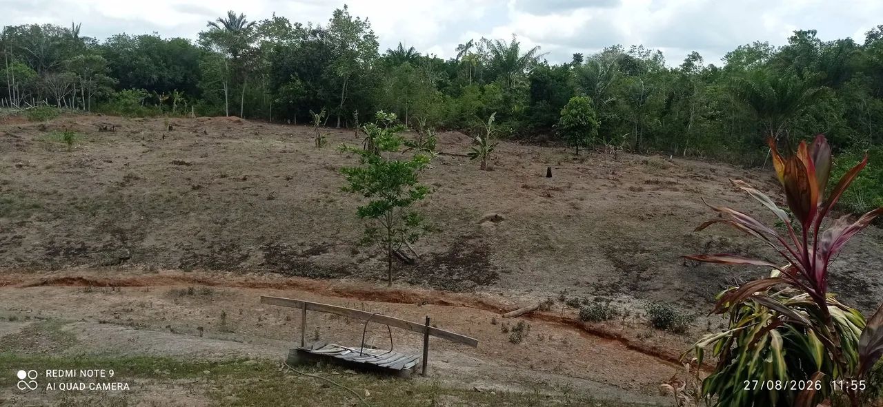 Vendo ou troco sítio no castanho  - Foto 2