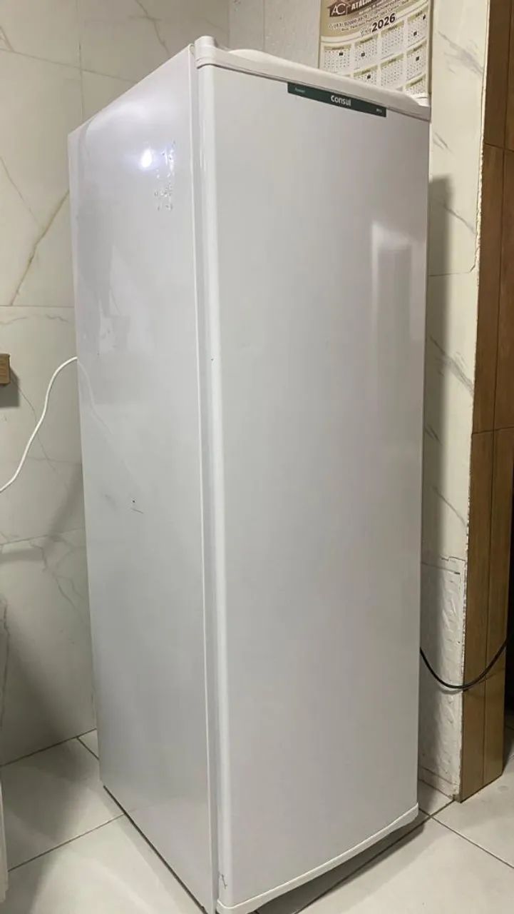 Freezer Consul vertical 