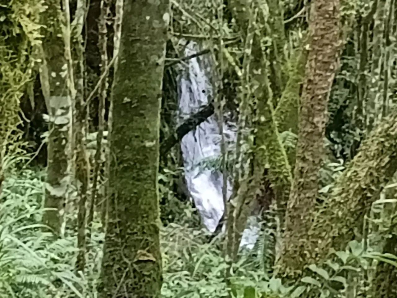 VENDO LINDO TERRENO /P/ chácara  - Foto 3