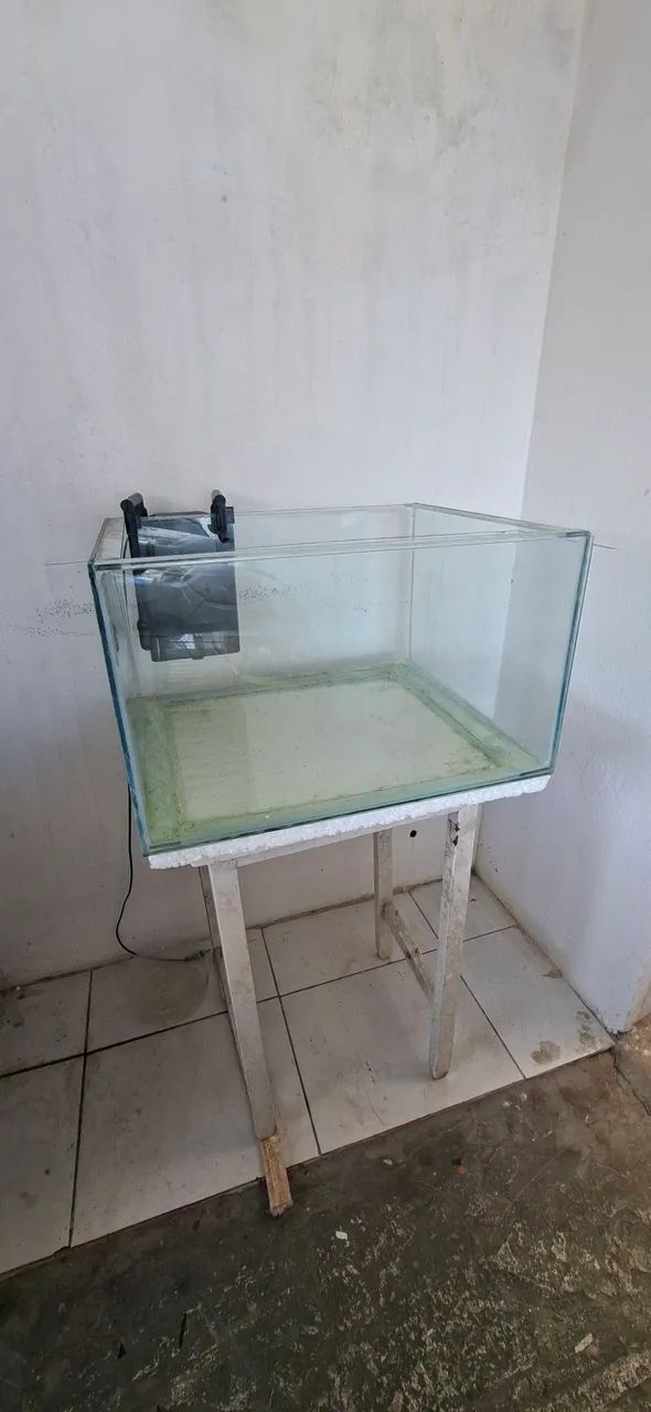 Aquário  - Foto 2