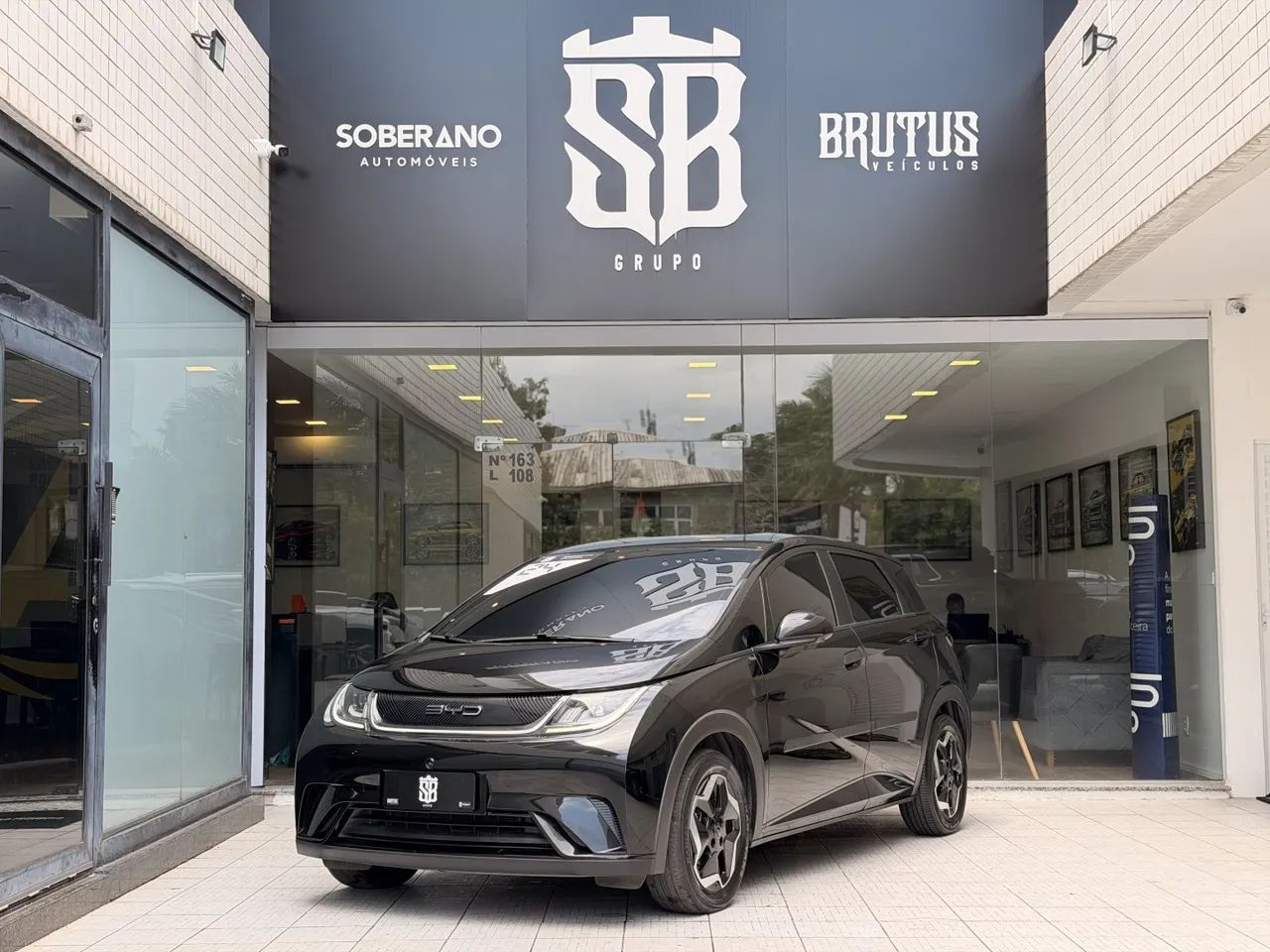 BYD Dolphin EV (Elétrico) 2024 - Foto 3