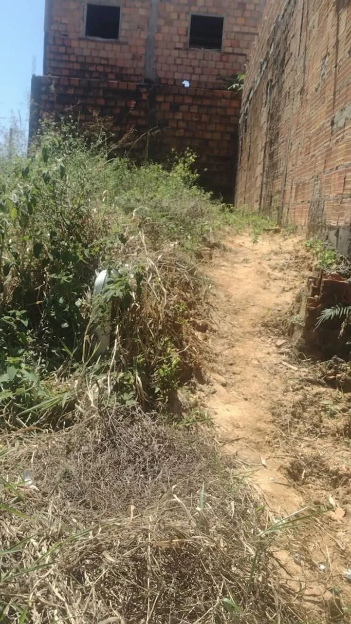 Terreno 