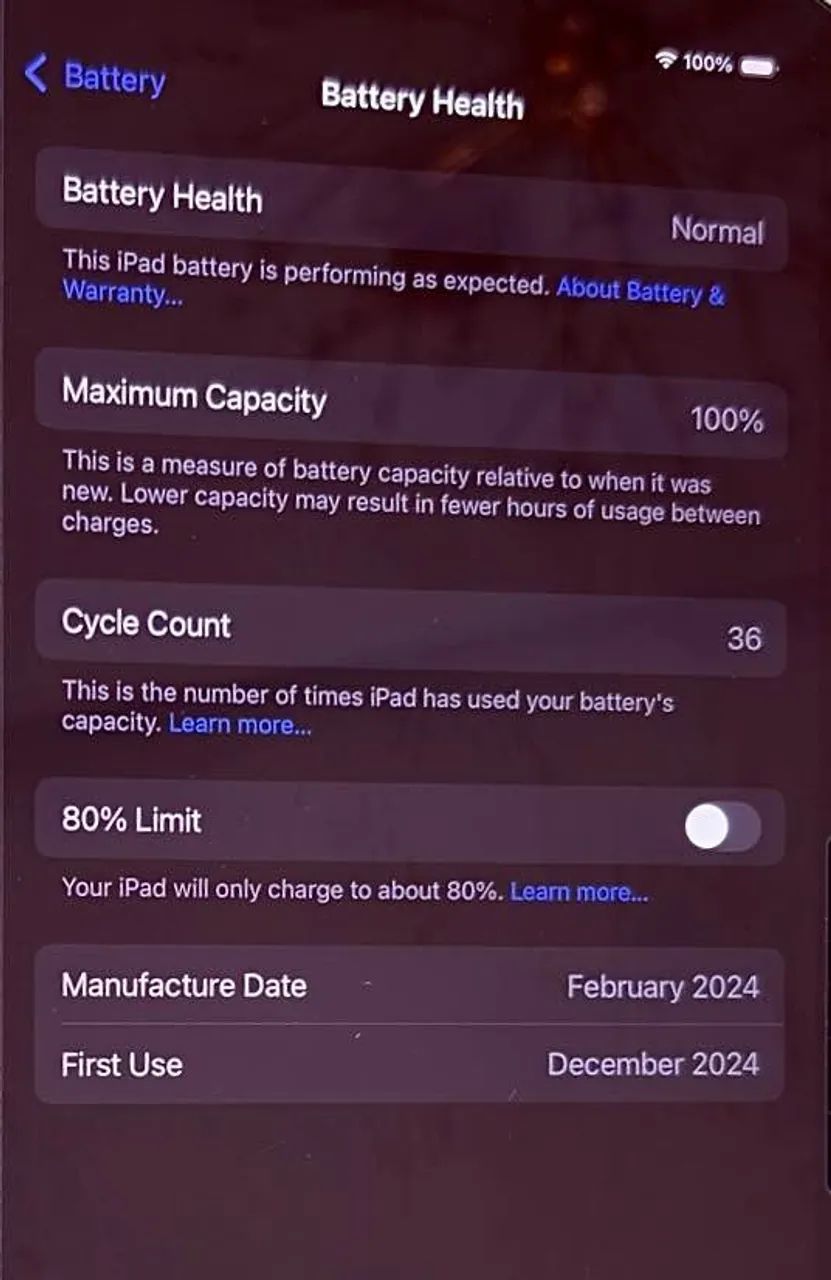 Ipad pro 11 m4 - Bateria 100% + Apple pencil pro - Foto 4
