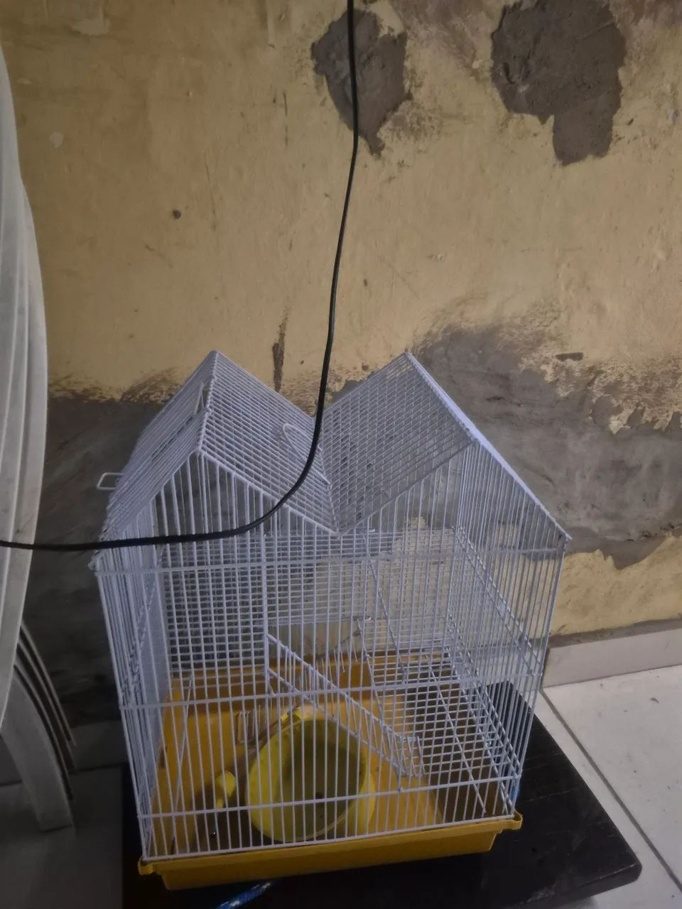 Vendo gaiola de hamster * - Foto 2