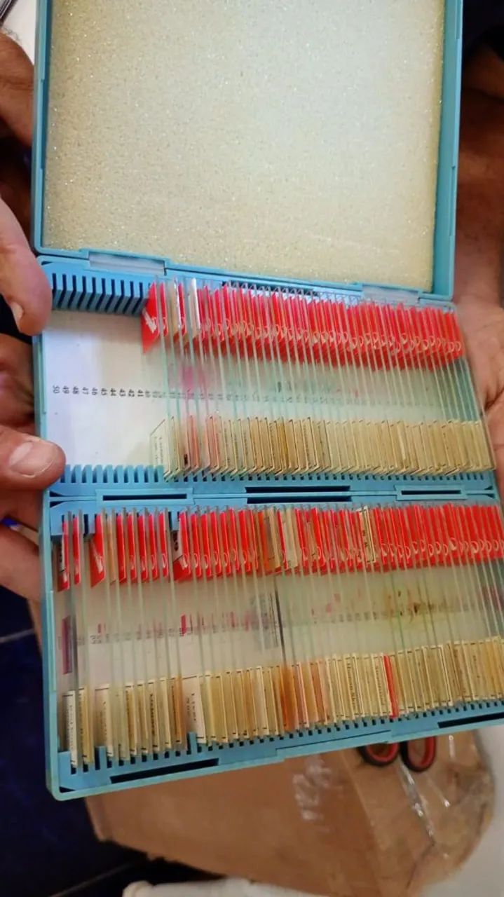 Lâmina para microscópio<br>Com diversos tecidos<br>20 caixa <br>Cada caixa com 100 lâmina