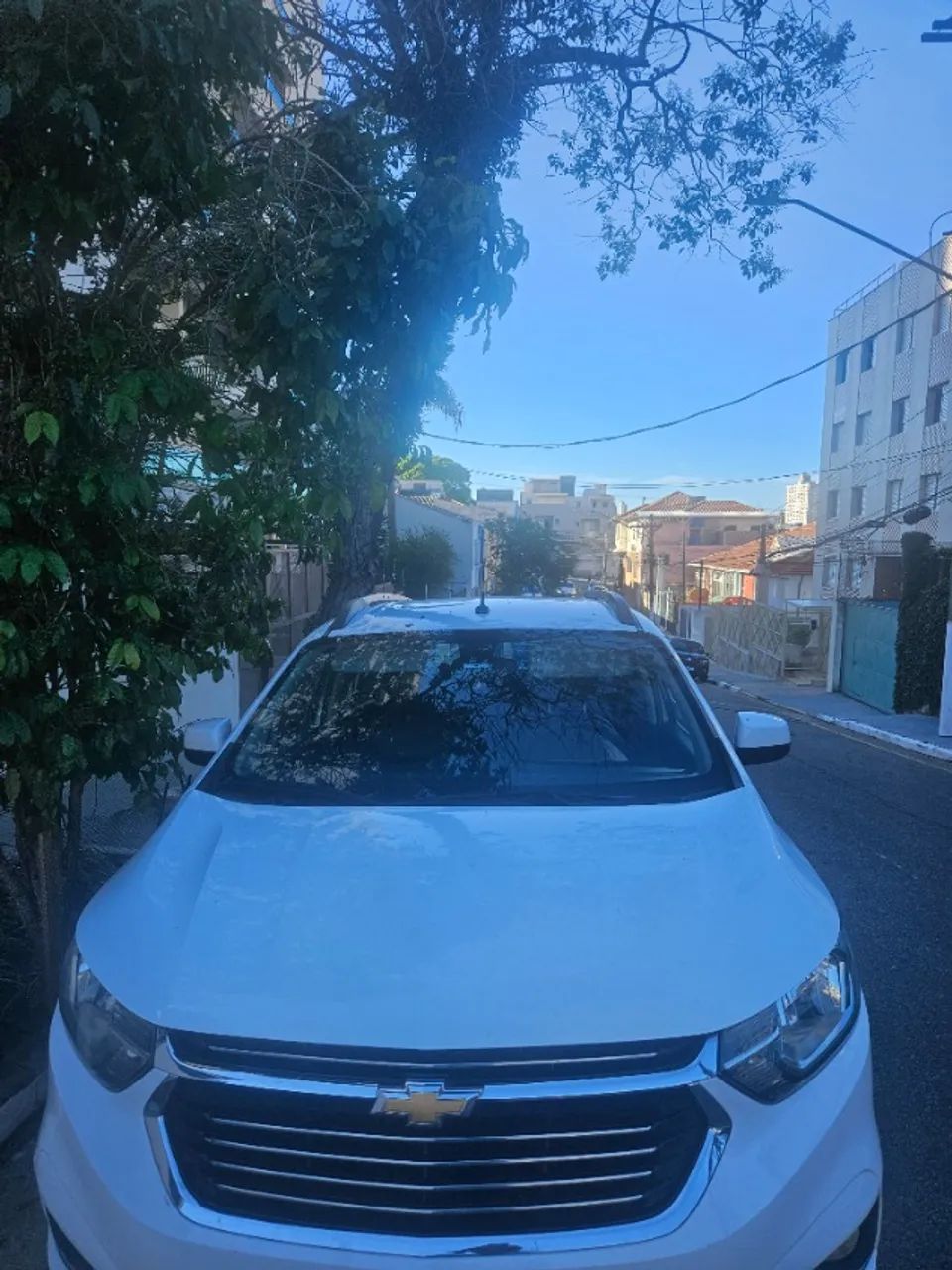 Motorista particular 