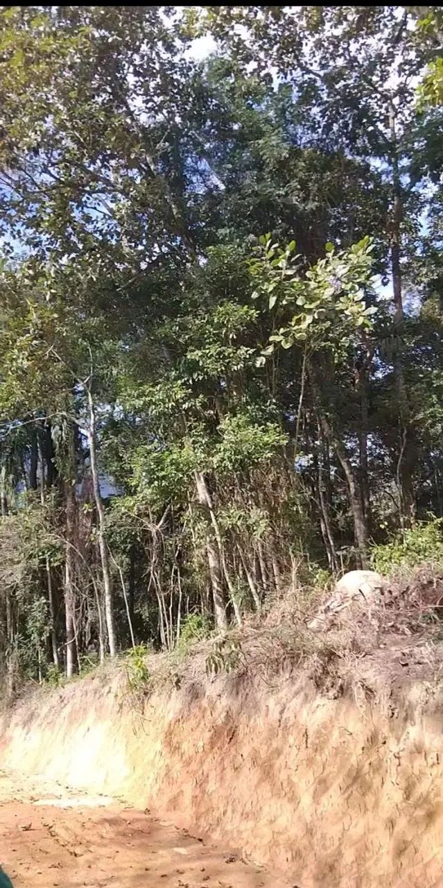 terreno com fácil acesso - Foto 2