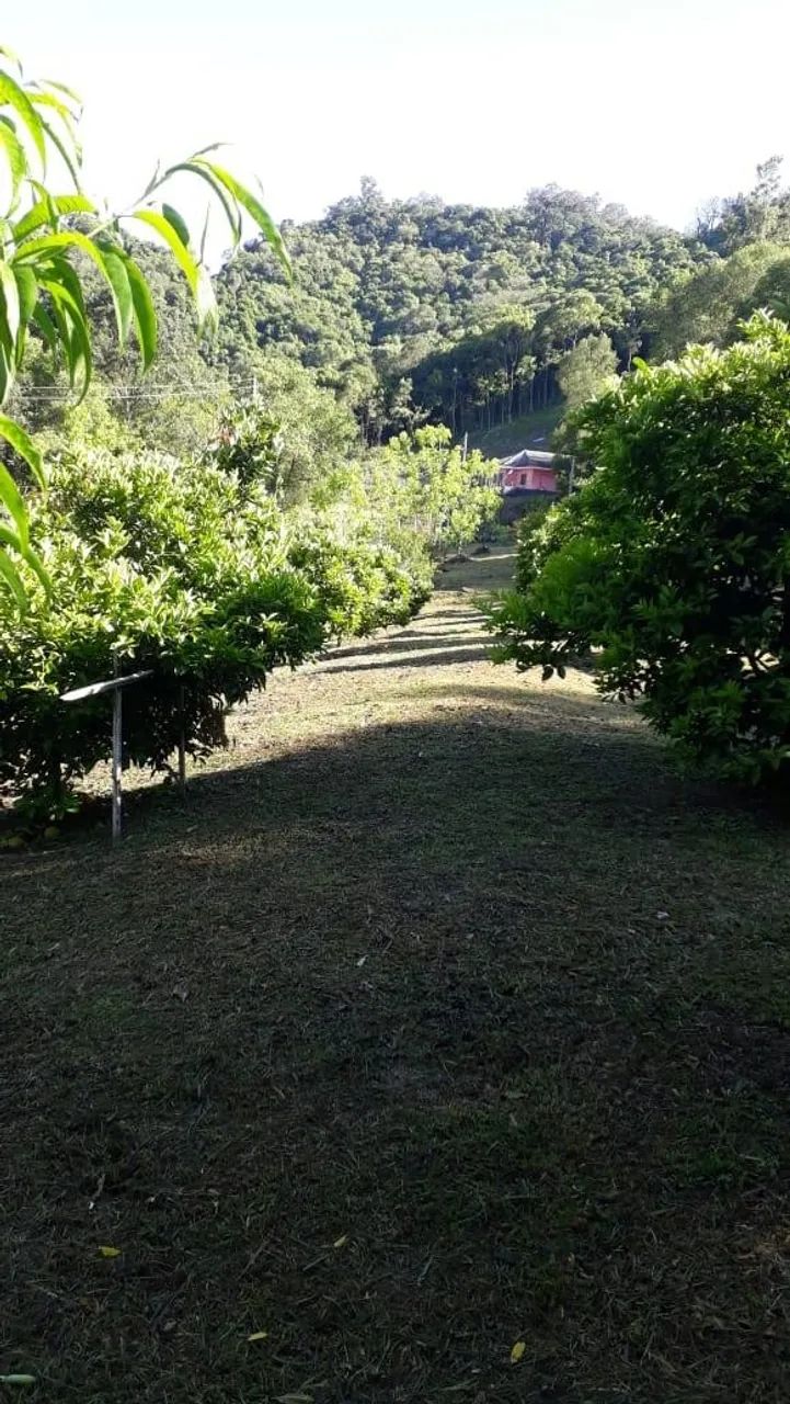 Chácara Jansen Farroupilha - Foto 5
