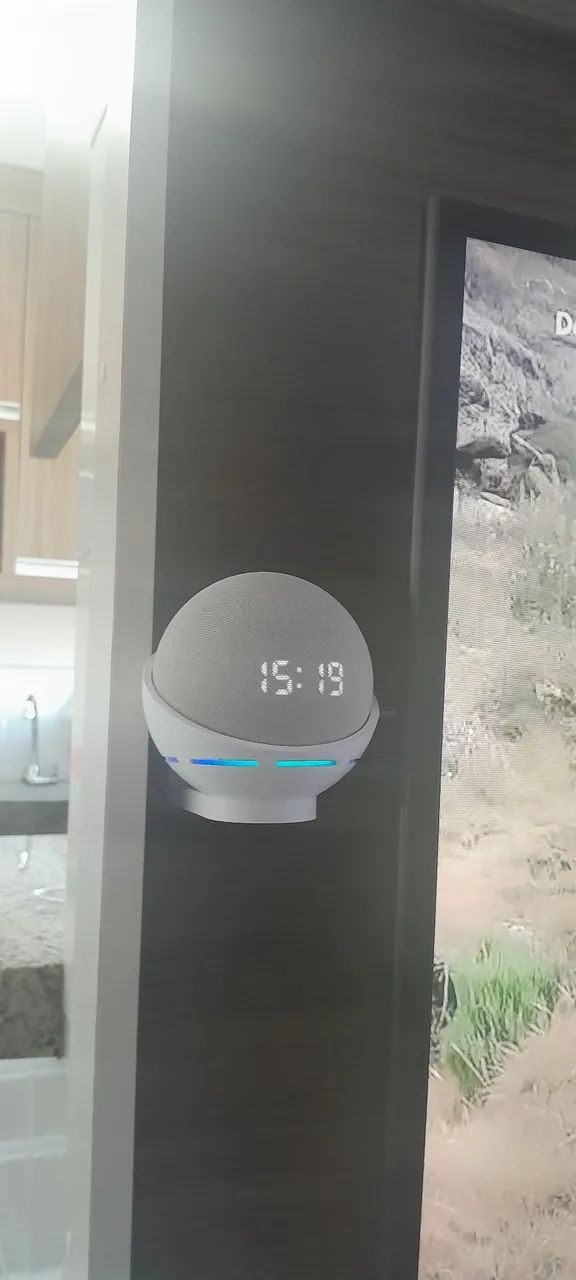 Echo dot 4 ..alexa com suporte