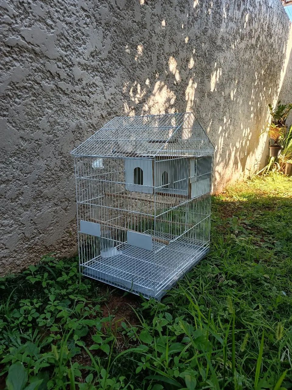 Gaiola grande + Ração p/Calopsita  - Foto 2