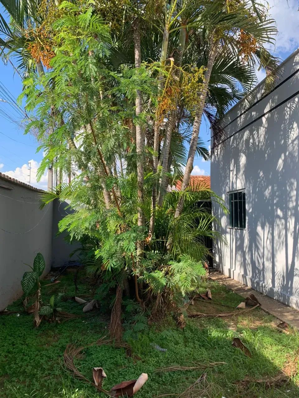 Imóvel para aluguel com 360 metros quadrados com 3 quartos - Foto 5