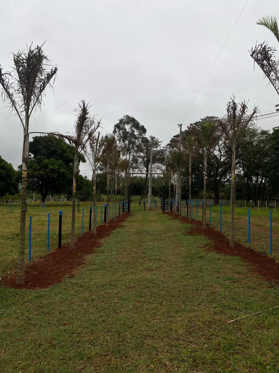 Chácara escriturada  - Foto 2