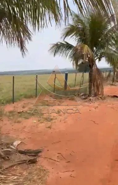 Fazenda - Marília - Zona Rural - Foto 5