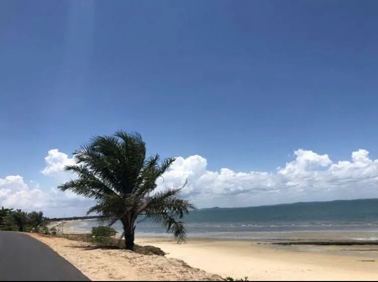 Fazenda Beira Mar - Foto 4