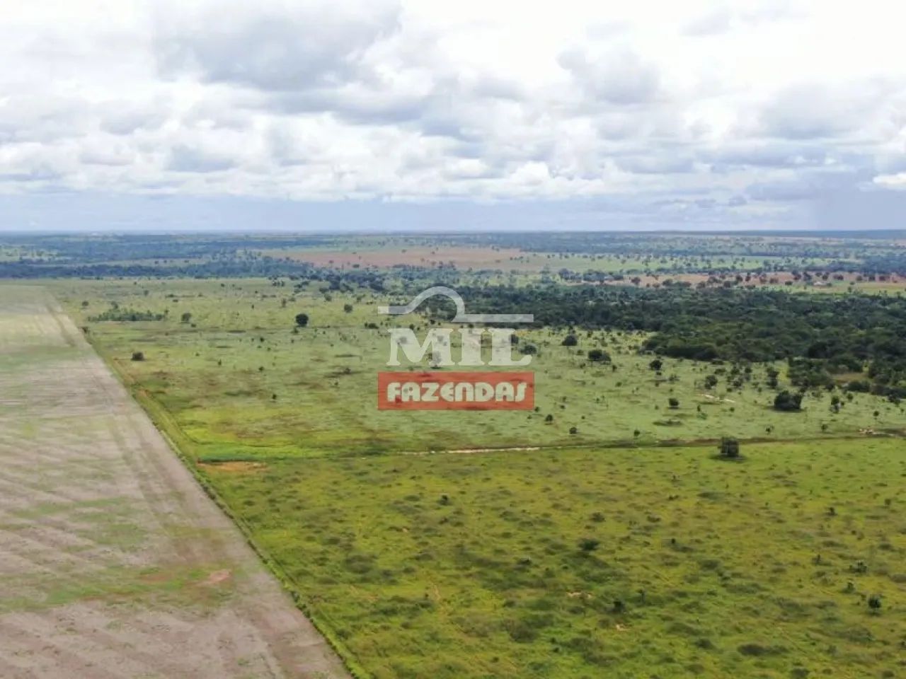 Fazenda de 42 alqueires (204 hectares) em Nova Crixas - GO, - Foto 2