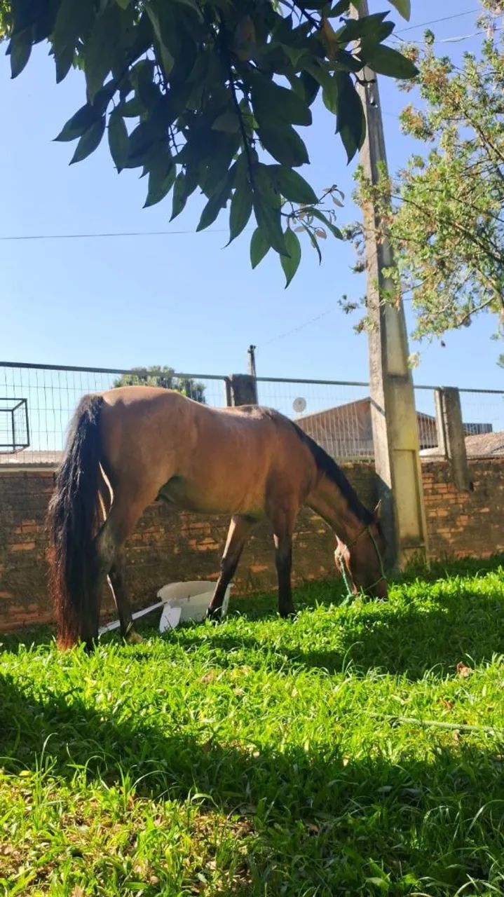 Vendo - Foto 4
