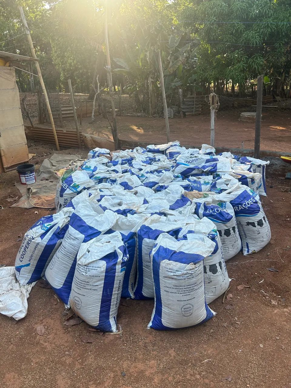    Cama de Frango para Horta, Jardim e Pastagem