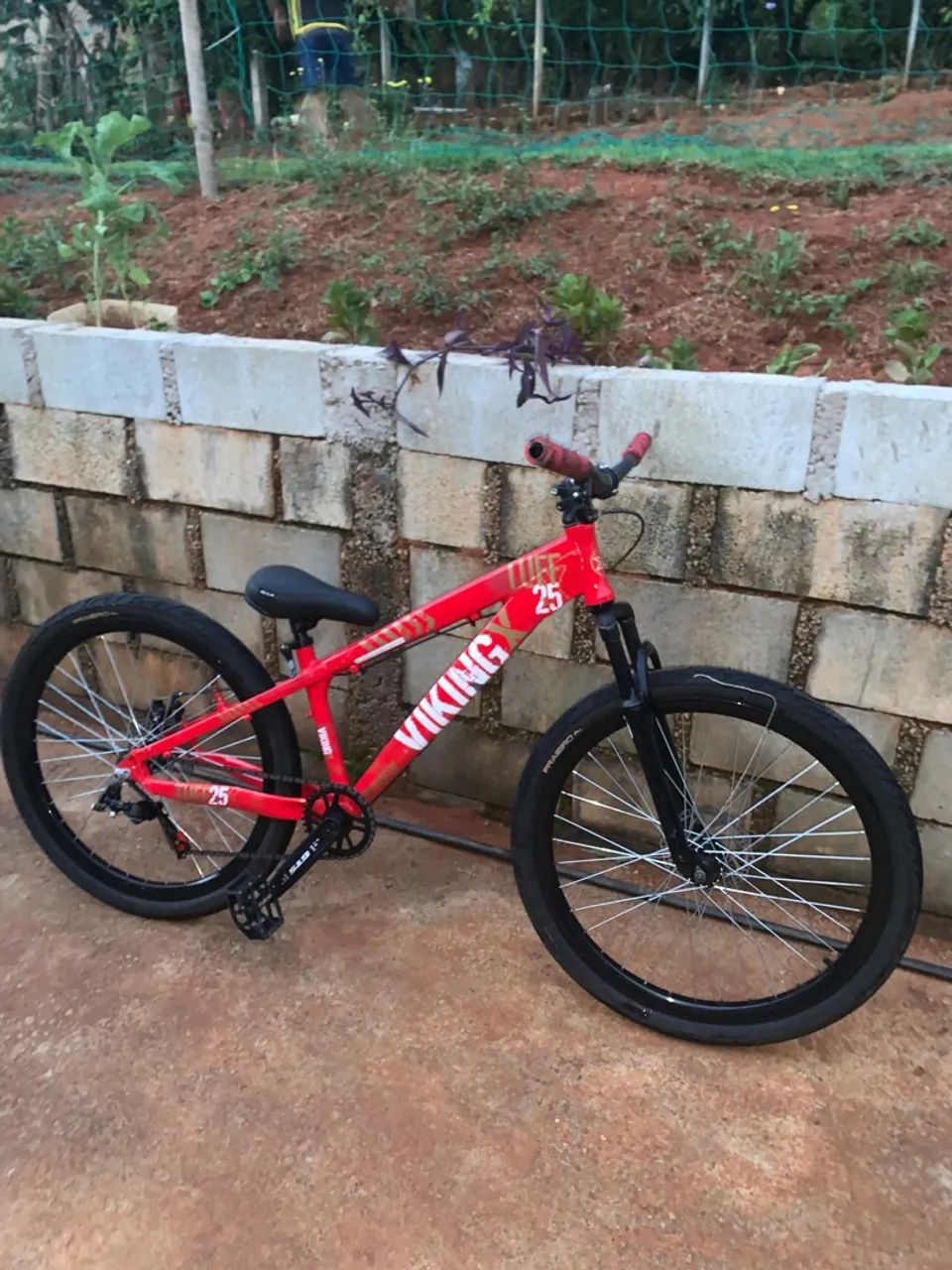 bicicleta  - Foto 4