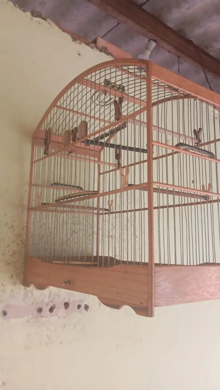 Gaiola de passeio de papa zerada  - Foto 3