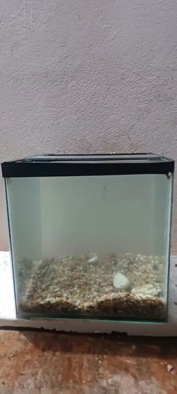 Vendo aquario de 64 litros - Foto 2