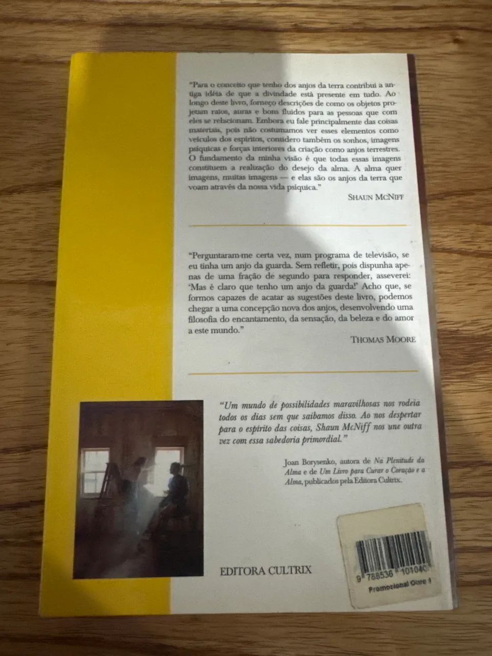 Anjos da Terra SHAUN MCNIFF - Foto 2