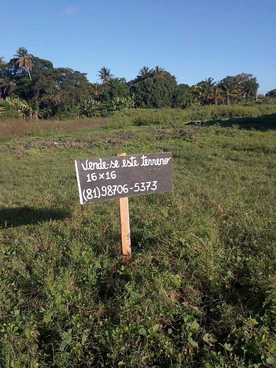 Terreno Porto de Galinhas - Foto 3