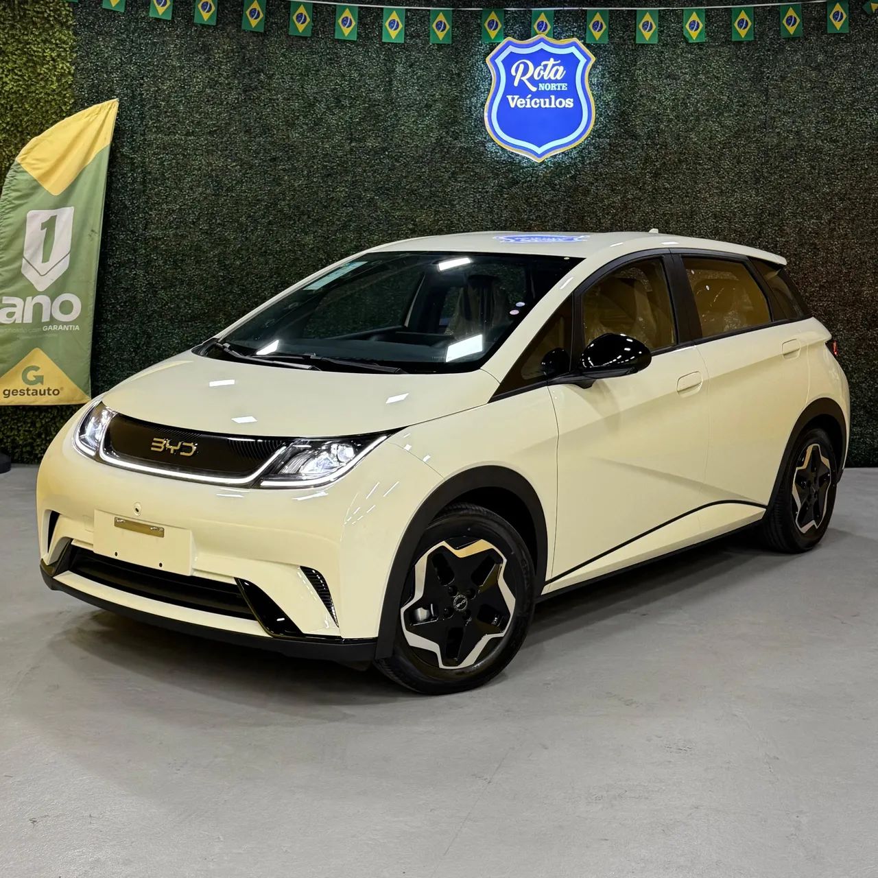 BYD Dolphin GS (Elétrico) 2027 - Foto 5