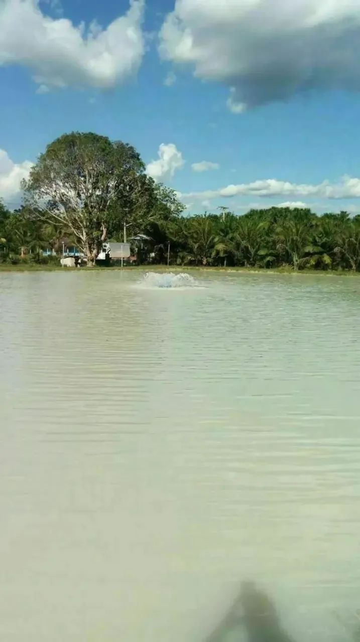 VENDO SÍTIO EM RIO PRETO DA EVA COM 27.500 METROS - Foto 4