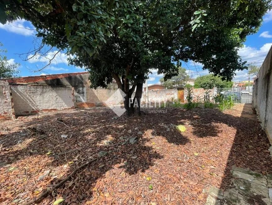 terreno - Taquaral - Campinas - Foto 3