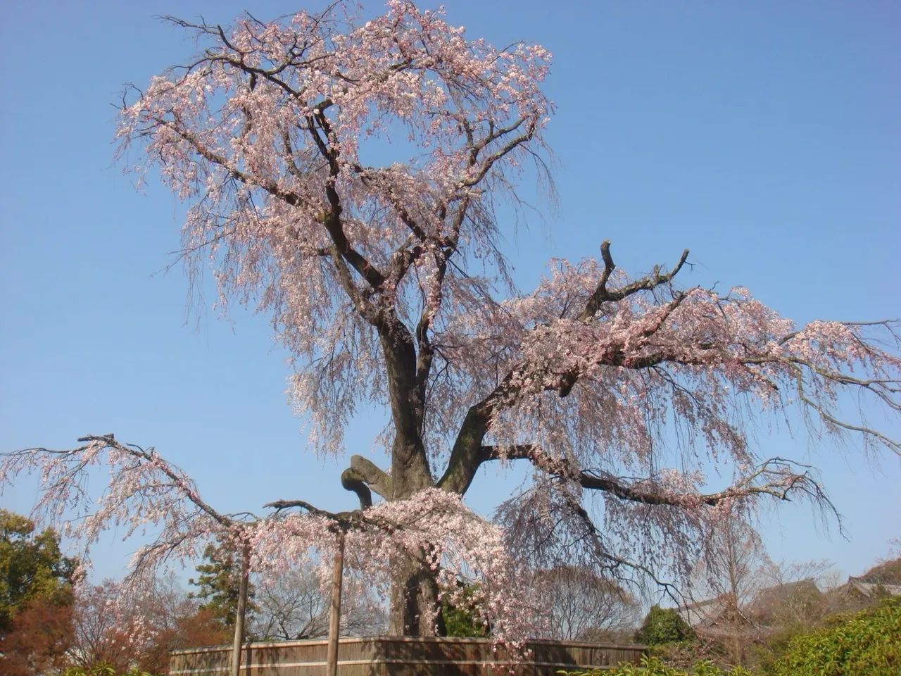 Sony DSC-T20 - Foto 5