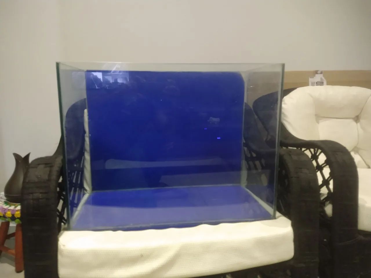 Aquário pequenos  - Foto 3