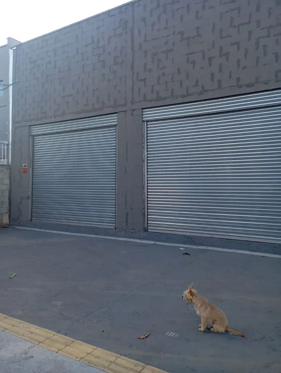 02 Galpão Comercial Podendo aluga separado - Foto 3