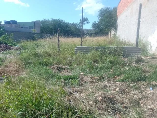 terreno com rgi